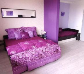 Отель Apartments 4U center + free parking  Оломоуц